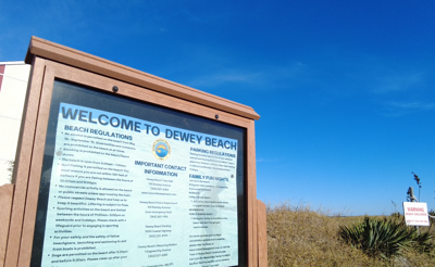 Dewey Beach faces annual "Junebug" problem