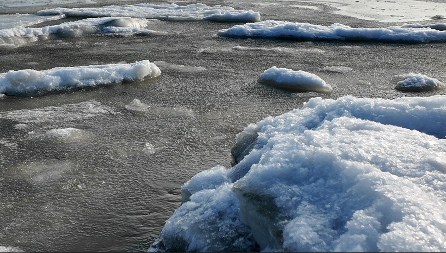 Roosevelt Inlet Week of 2/9