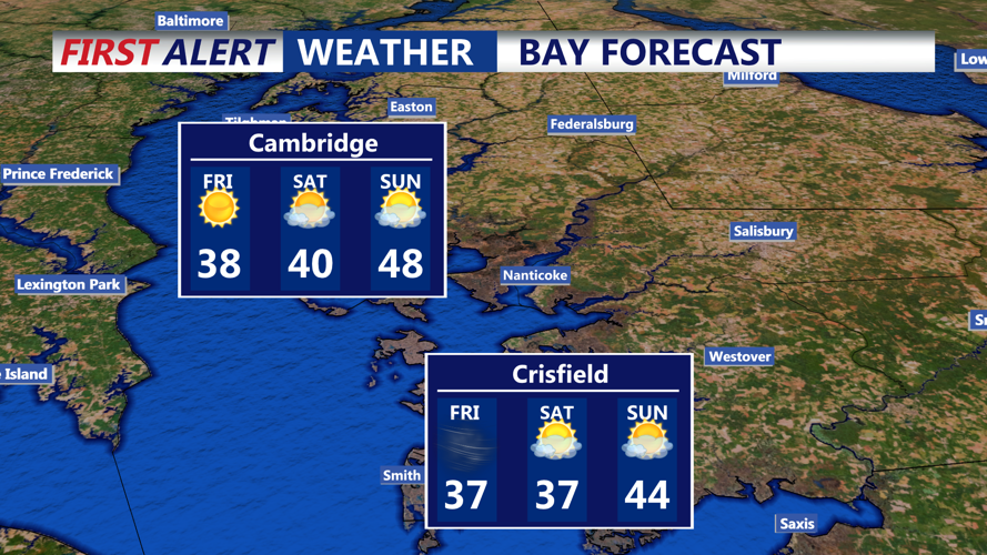 BAY FORECAST