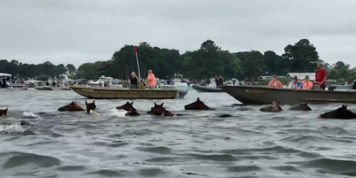 Chincoteague Volunteer Fire Company announces Pony Week 2026 schedule