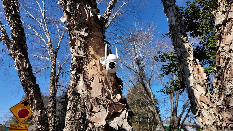 Milton Speeders camera five