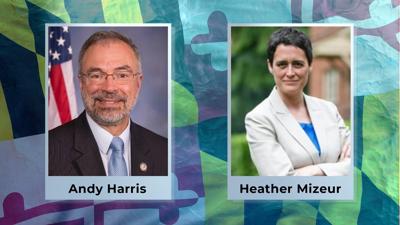 Incumbent Republican Andy Harris and Democratic candidate Heather Mizeur