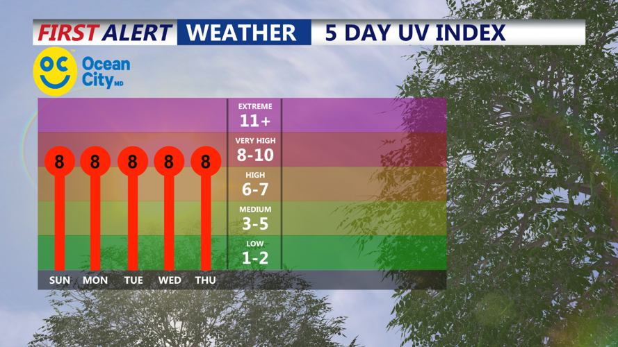 5 DAY UV INDEX