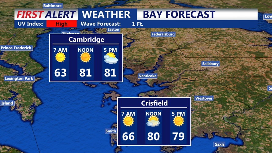 BAY FORECAST
