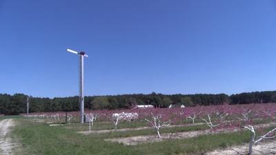 Wind
