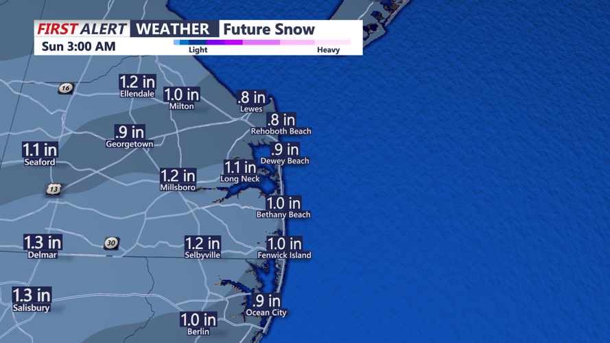 SNOW TOTALS