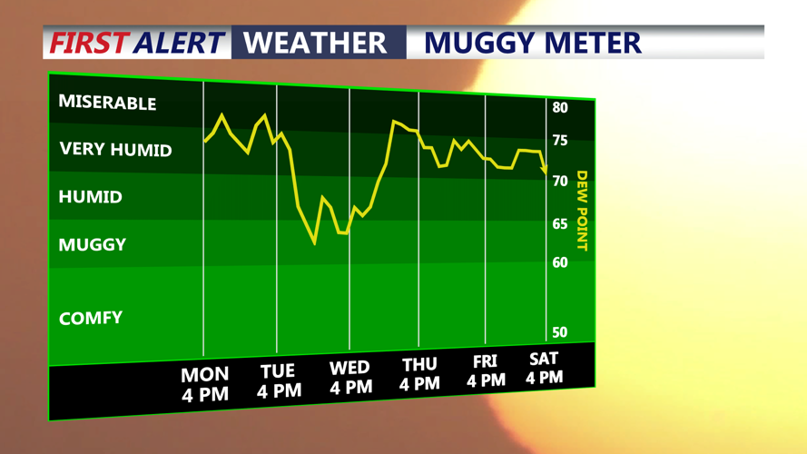 muggy meter