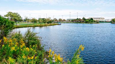 Ocean City Ecosystem