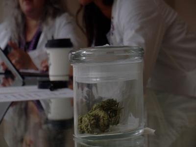 The future of Marijuana in Dagsboro