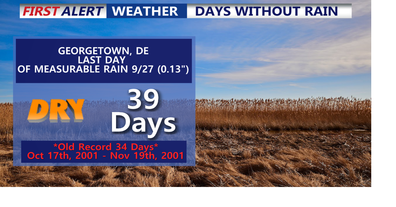 Warm and Breezy Conditions Continue for Delmarva Ahead of Midweek Cold ...