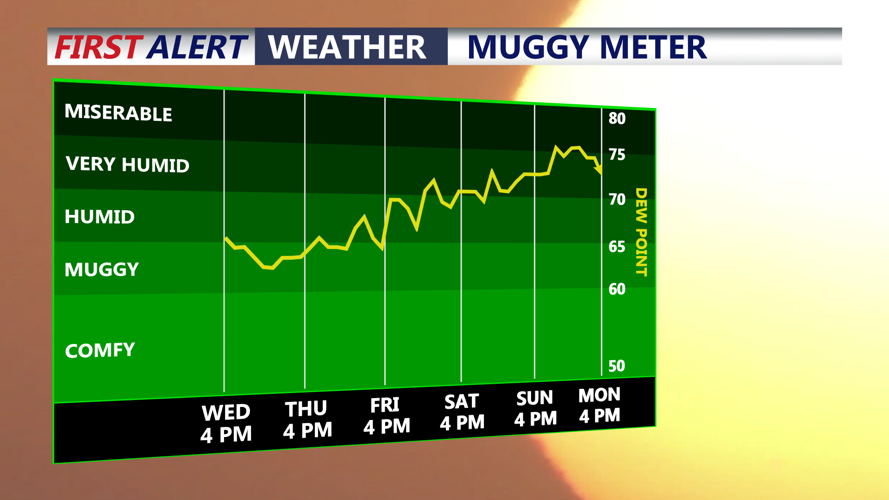 Muggy Meter