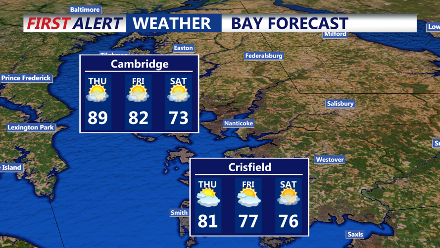 BAY FORECAST