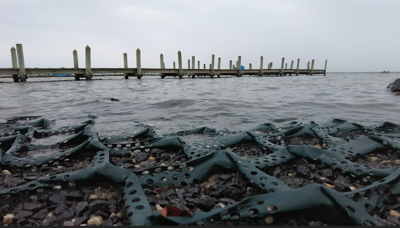 A Study of the Delaware Inland Bays Moves Forward