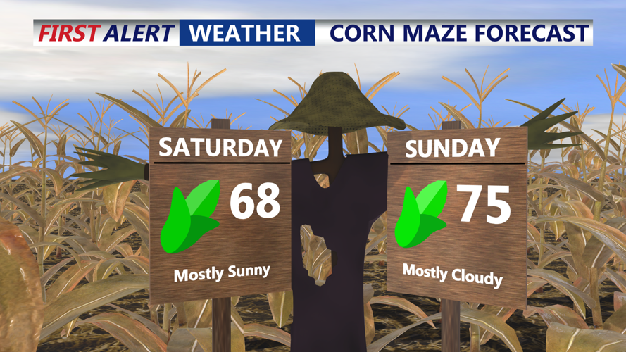 CORN MAZE