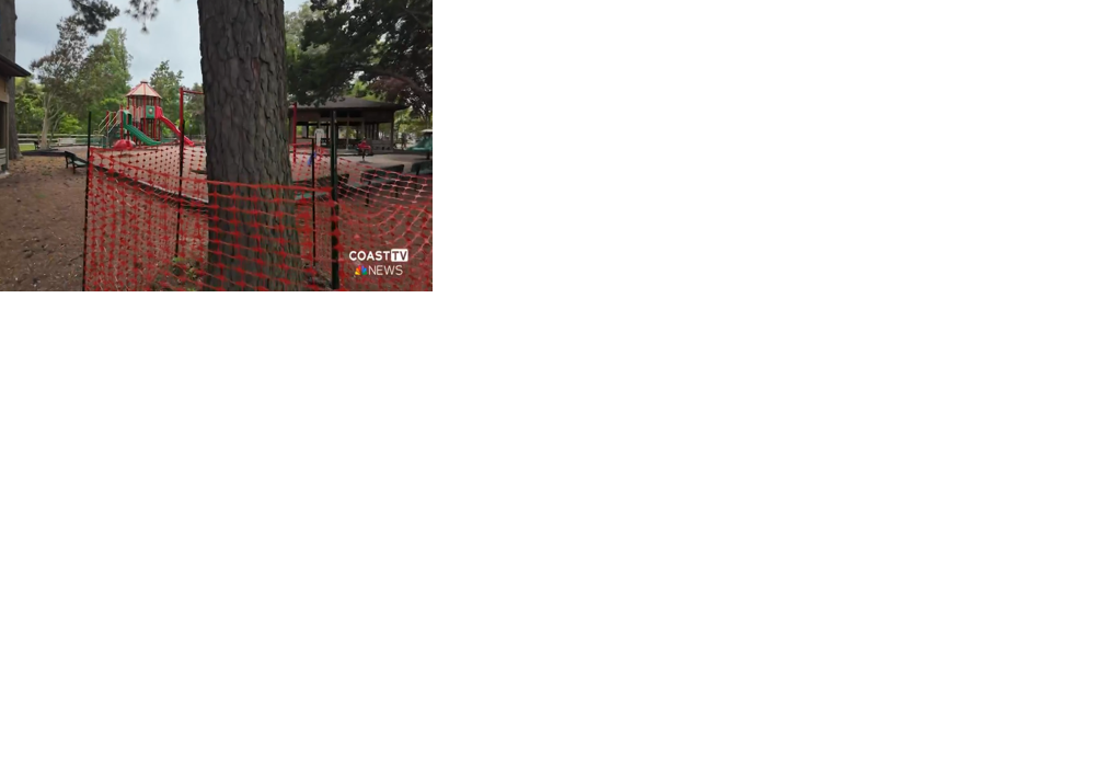 A tree surrounded by orange fencing with a playground in the background.