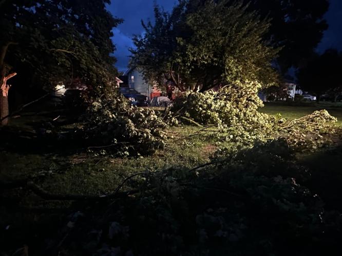 milford trees down.jpg