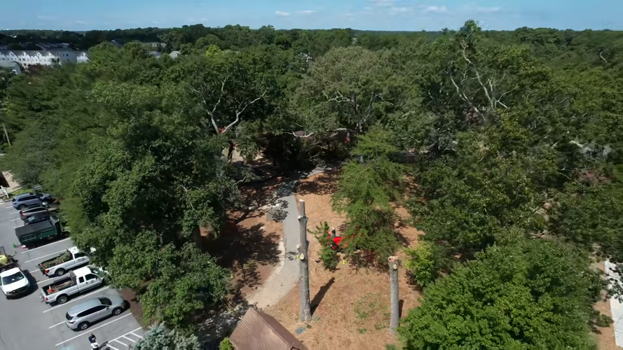 An aerial shot of the park.
