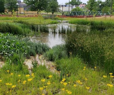 Water Quality Improvement Grants