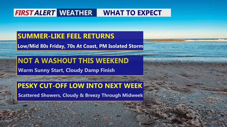 WHAT TO EXPECT - 3 THINGS