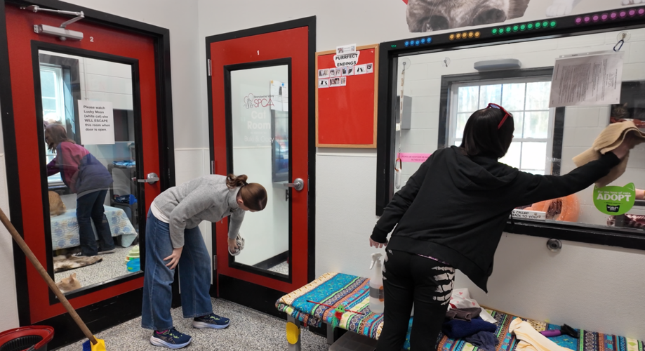 Volunteers swept floors, cleaned windows, washed dishes, folded laundry and assisted staff with other needs.