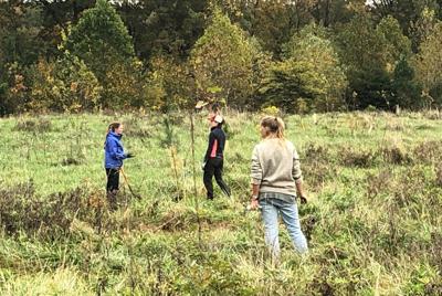 Nine projects awarded $173K to plant over 12,000 trees across Delaware