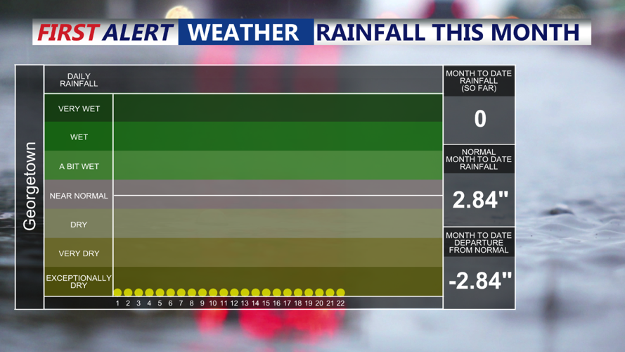 RAINFALL THIS MONTH
