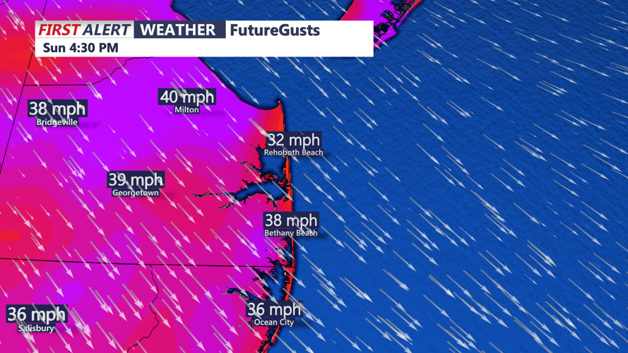 Futurecast Winds