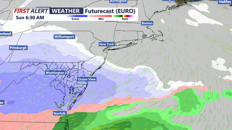 FUTURECAST PRECIPITATION