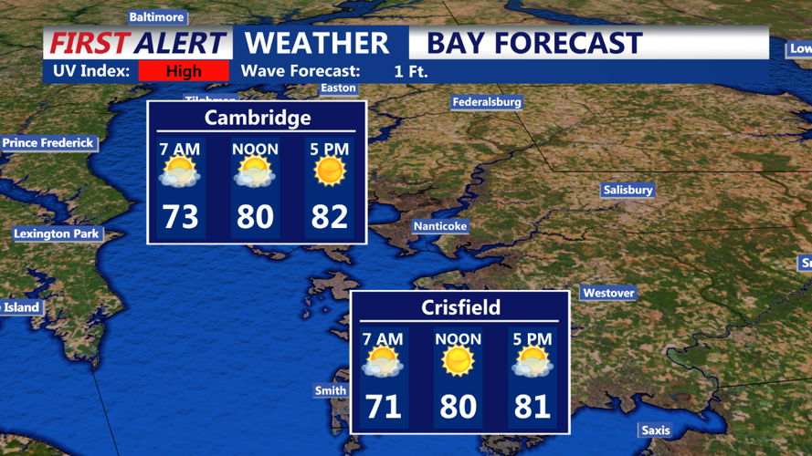 Bay Forecast