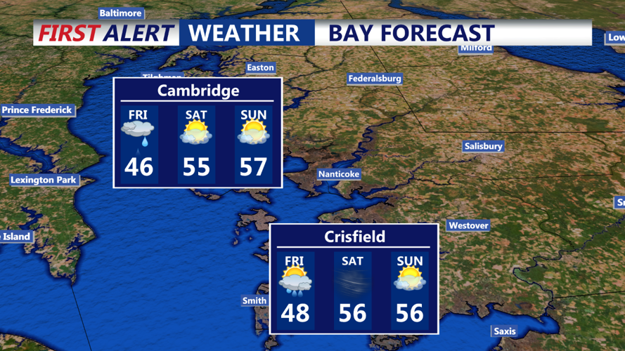 BAY FORECAST