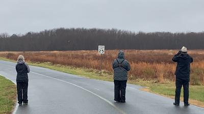 Rainy Conditions No Issue For Bird Counters in Sussex County