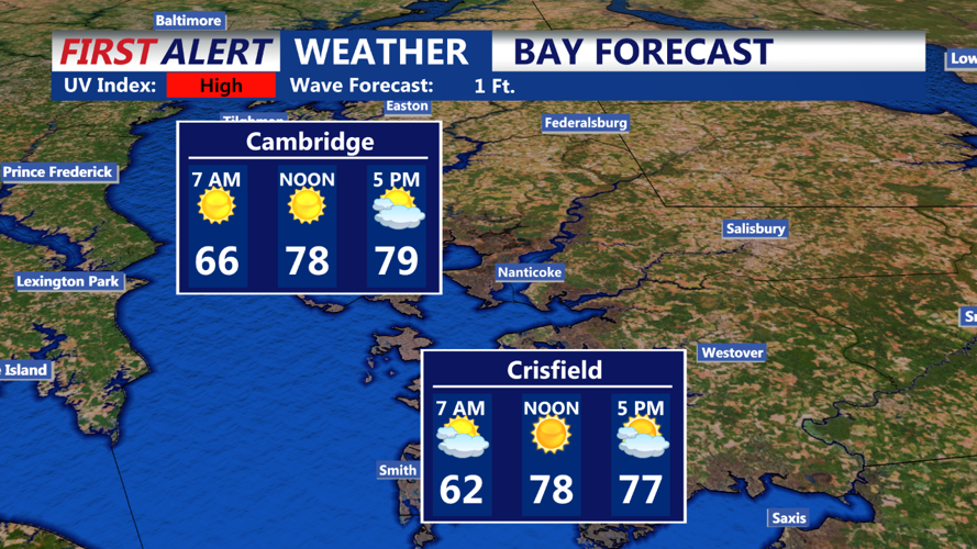 BAY FORECAST