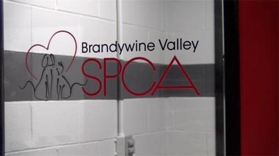 Brandywine Valley SPCA