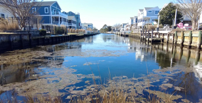 South Bethany continues efforts to improve canal water quality