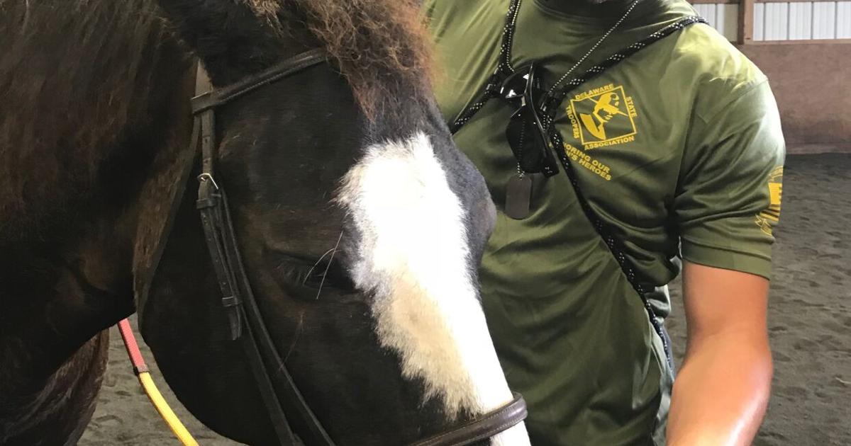 Southern Delaware Therapeutic Riding to offer equine program to ...