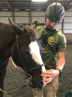 Southern Delaware Therapeutic Riding to offer equine program to Veterans