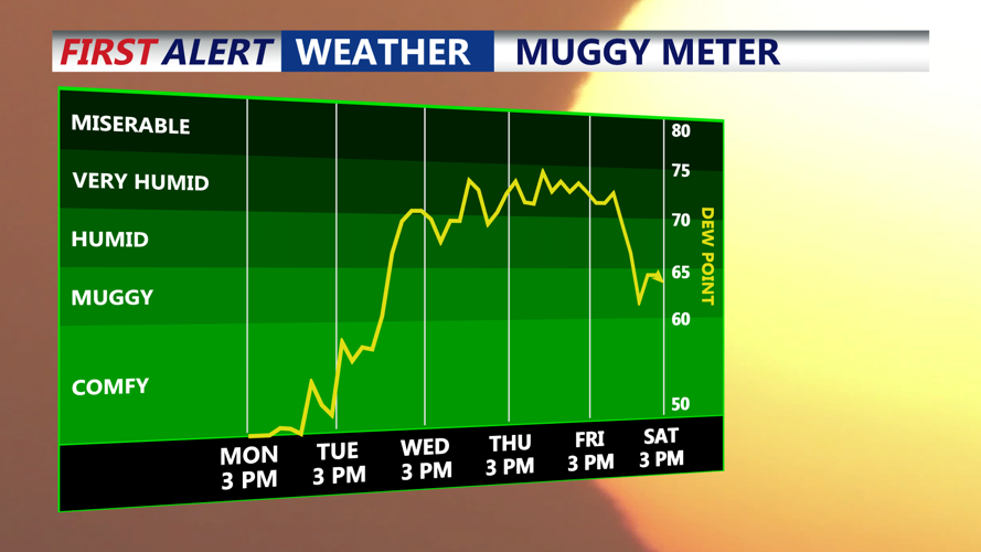 Muggy Meter