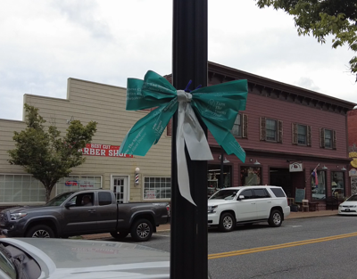 Milton is turning Teal in honor of Ovarian Cancer Awareness Month