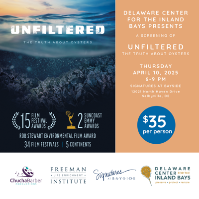 Unfiltered Inland Bays Photo