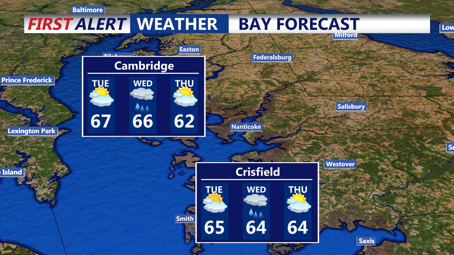 BAY FORECAST