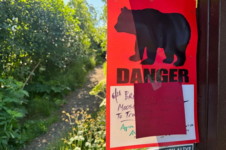 Bear Mauling Alaska