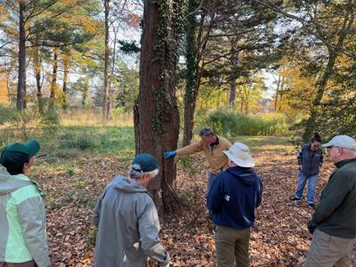 Fourth Street Preserve work