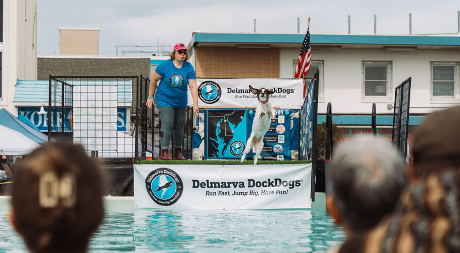 Delmarva DockDogs