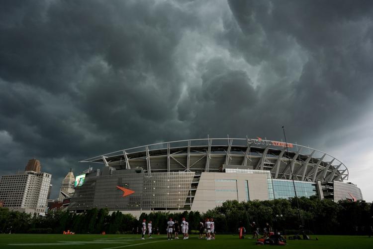 Bengals Football