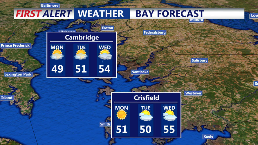 BAY FORECAST