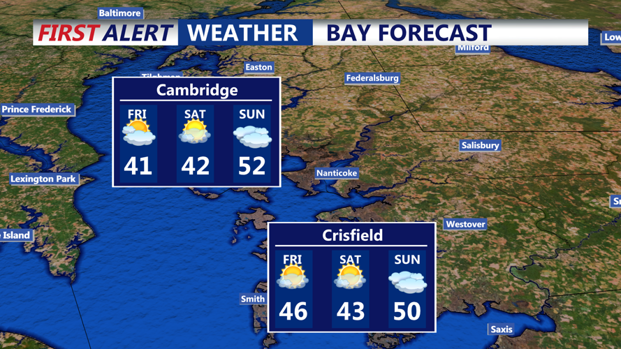 BAY FORECAST