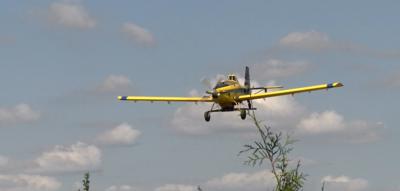 Cover crops