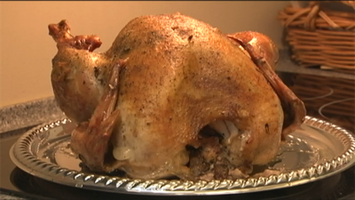 Vets & Plumbers Are Amidst Their Busiest Days of the Year, Give Advice on How to Avoid Thanksgiving Mishaps