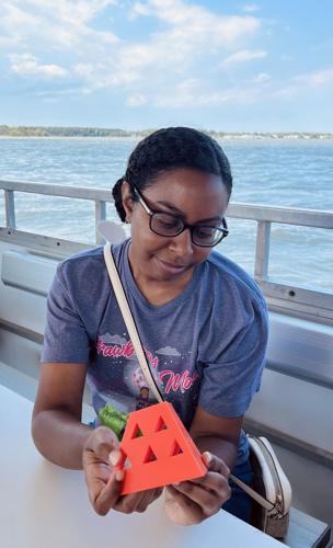 wave-attenuation device model for Thompson Island