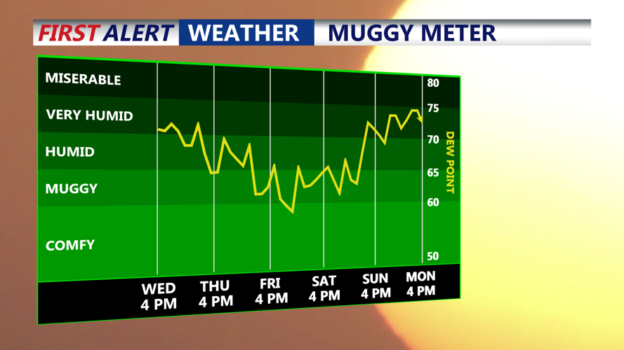 MUGGY METER
